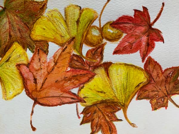 紅葉