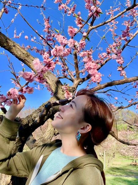 梅