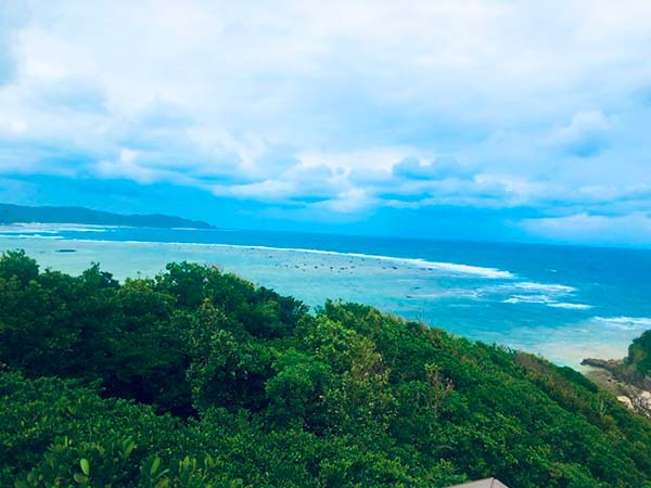 海と緑