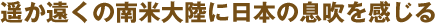 $BMZ$+1s$/$NFnJFBgN&$KF|K\$NB)?a$r46$8$k(B