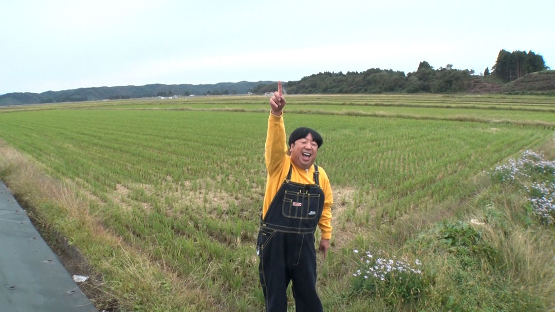 2023年11月26日